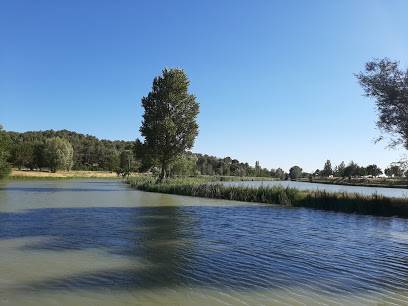 Etude hydraulique pour l'extension de l'étang de Rambaille - Tarascon (13)